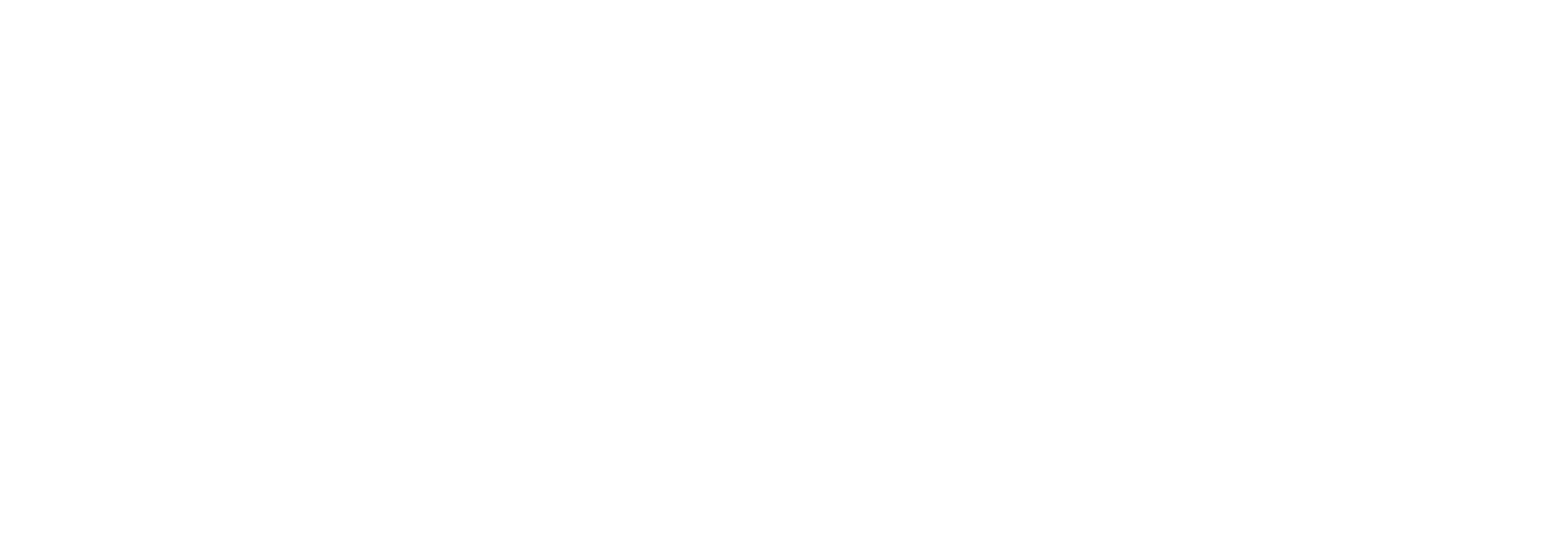 XPEL Stealth Logo